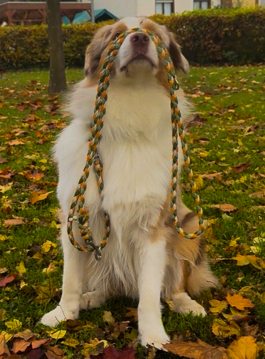 Wunschleine L