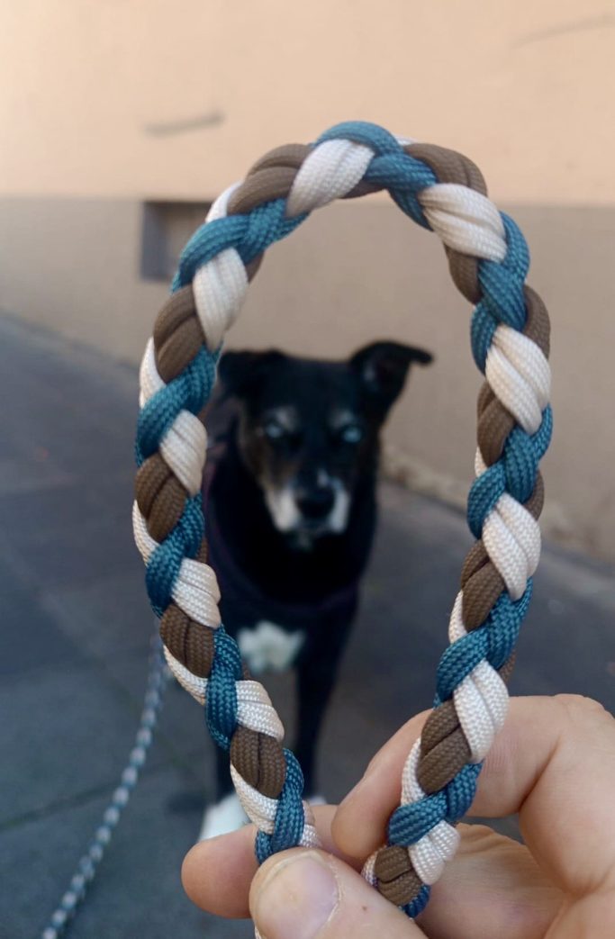 Wunschleine M Paracord Ein Hund steht im Hintergrund, während eine geflochtene Leine in der Hand gehalten wird.